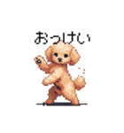 ドット絵 トイプードル チワワ 日常会話（個別スタンプ：1）