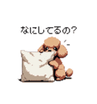 ドット絵 トイプードル チワワ 日常会話（個別スタンプ：4）