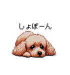 ドット絵 トイプードル チワワ 日常会話（個別スタンプ：5）