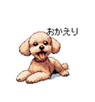 ドット絵 トイプードル チワワ 日常会話（個別スタンプ：8）