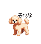 ドット絵 トイプードル チワワ 日常会話（個別スタンプ：15）