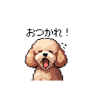 ドット絵 トイプードル チワワ 日常会話（個別スタンプ：16）