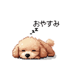 ドット絵 トイプードル チワワ 日常会話（個別スタンプ：18）