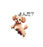 ドット絵 トイプードル チワワ 日常会話（個別スタンプ：19）