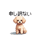 ドット絵 トイプードル チワワ 日常会話（個別スタンプ：20）