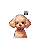 ドット絵 トイプードル チワワ 日常会話（個別スタンプ：22）