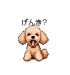 ドット絵 トイプードル チワワ 日常会話（個別スタンプ：24）