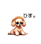 ドット絵 トイプードル チワワ 日常会話（個別スタンプ：26）