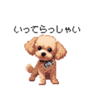 ドット絵 トイプードル チワワ 日常会話（個別スタンプ：27）