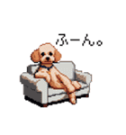 ドット絵 トイプードル チワワ 日常会話（個別スタンプ：30）