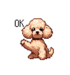 ドット絵 トイプードル チワワ 日常会話（個別スタンプ：33）