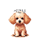 ドット絵 トイプードル チワワ 日常会話（個別スタンプ：35）