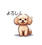 ドット絵 トイプードル チワワ 日常会話（個別スタンプ：38）