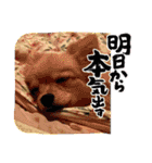 今ドキッズTV2023スタンプ（個別スタンプ：7）