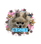 今ドキッズTV2023スタンプ（個別スタンプ：16）