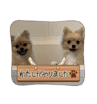 今ドキッズTV2023スタンプ（個別スタンプ：18）