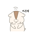 ゆるハムくーちゃん3（個別スタンプ：40）