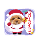 レッド トイプードルPOMU（個別スタンプ：23）
