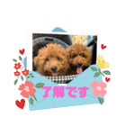 ペットハウスRizわんこ（個別スタンプ：6）