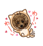 ペットハウスRizわんこ（個別スタンプ：11）