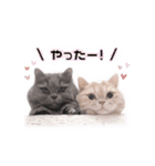 ちょんとしゅしゅ 短足ミヌエット ②（個別スタンプ：7）