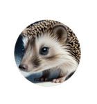 ハリネズミ hedgehog.（個別スタンプ：1）