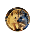 ハリネズミ hedgehog.（個別スタンプ：5）