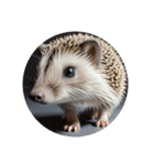 ハリネズミ hedgehog.（個別スタンプ：10）