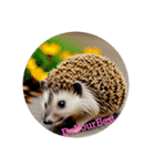 ハリネズミ hedgehog.（個別スタンプ：14）