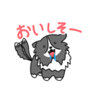 バイブラックシェルティのくうた（個別スタンプ：5）