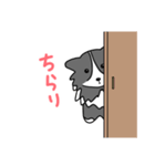 バイブラックシェルティのくうた（個別スタンプ：8）