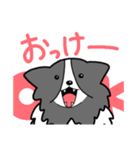 バイブラックシェルティのくうた（個別スタンプ：9）