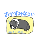 バイブラックシェルティのくうた（個別スタンプ：11）