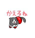 バイブラックシェルティのくうた（個別スタンプ：12）