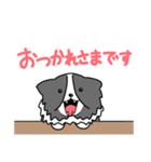 バイブラックシェルティのくうた（個別スタンプ：13）