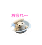 あざらしのおうちゃん 日常2（個別スタンプ：11）