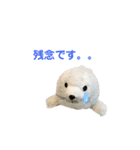 あざらしのおうちゃん 日常2（個別スタンプ：12）