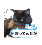 黒猫 ルナ院長124にゃんめ（個別スタンプ：8）