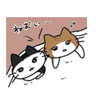 じっかにいるねこ（個別スタンプ：16）