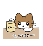 じっかにいるねこ（個別スタンプ：30）