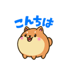 柴犬のしばころん（個別スタンプ：2）