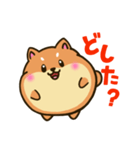 柴犬のしばころん（個別スタンプ：18）