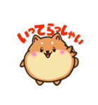 柴犬のしばころん（個別スタンプ：20）