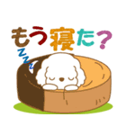 わんこ日和(白プードル)②-toYvu-（個別スタンプ：39）