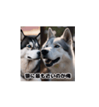 HuskyLove.Vol.2（個別スタンプ：11）