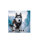 HuskyLove.Vol.2（個別スタンプ：19）