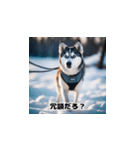 HuskyLove.Vol.2（個別スタンプ：23）