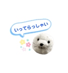 あざらしのおうちゃん 日常3（個別スタンプ：3）
