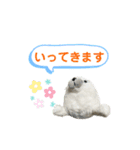 あざらしのおうちゃん 日常3（個別スタンプ：4）
