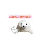 あざらしのおうちゃん 日常3（個別スタンプ：5）